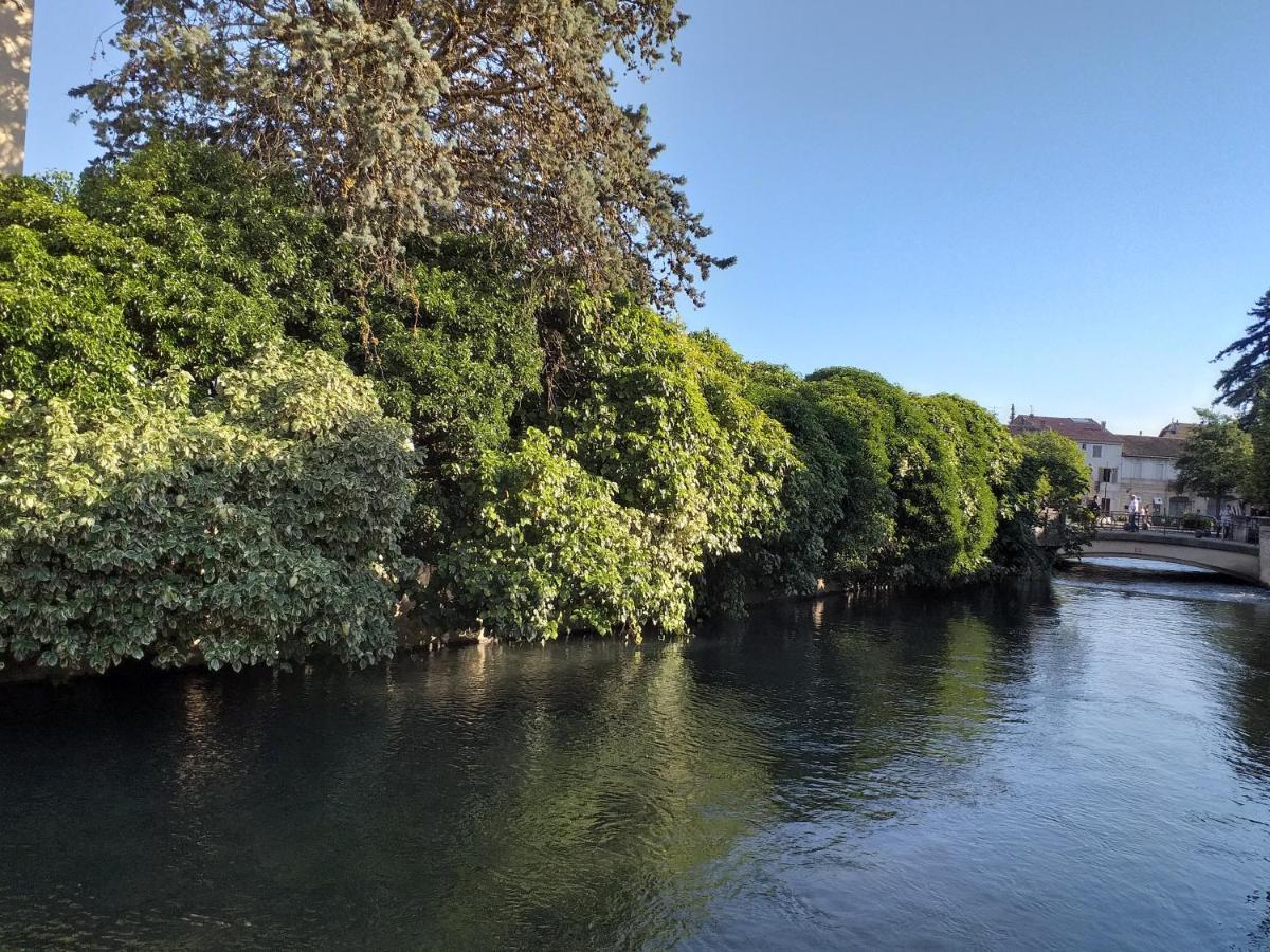 Le Petit Jardin ... Hotel L'Isle-sur-la-Sorgue Bagian luar foto